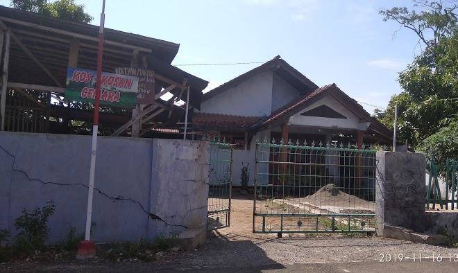 Kost cemara