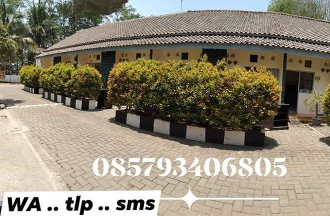 Hotel Podomoro Image