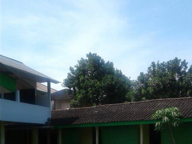 Lumintu hotel