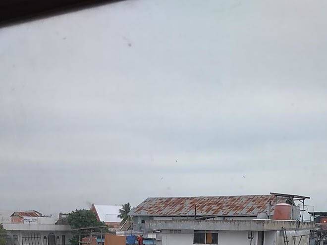 Hotel halmahera