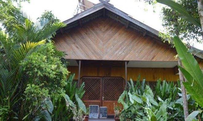 Rimba orangutan eco lodge