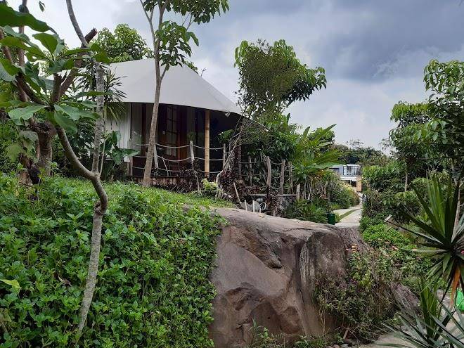 Oak tree glamping resort