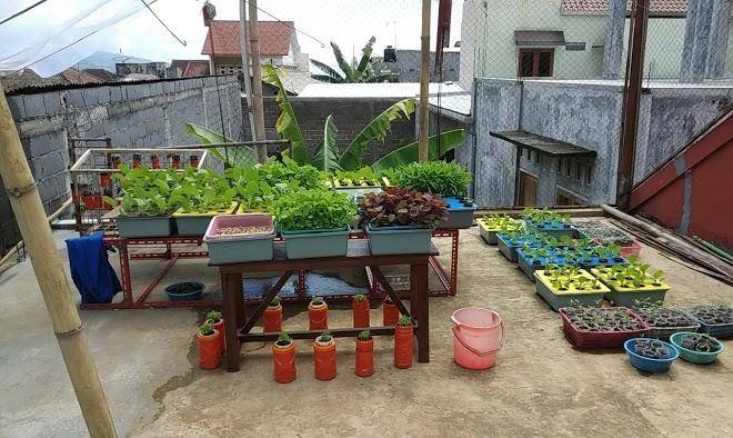 Rumah ibu