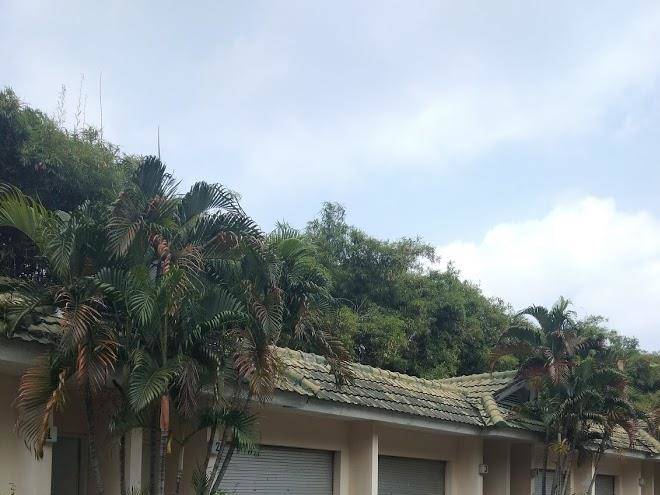 Hotel pondok hijau