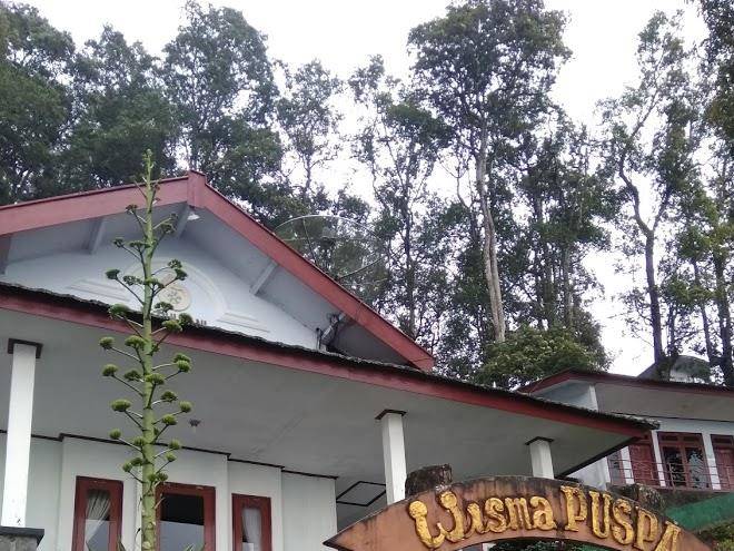Foresta resort sarangan perhutani