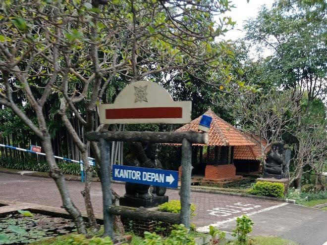 Sativa Sanggraloka Image