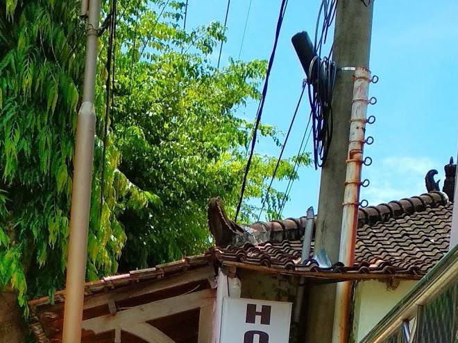 Hotel Indonesia Tuban Image