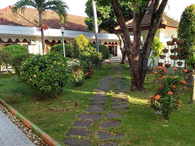 Hotel palapa