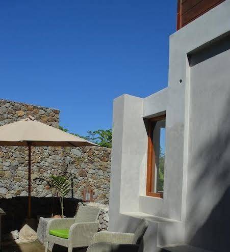 Blue Parrot Komodo Image