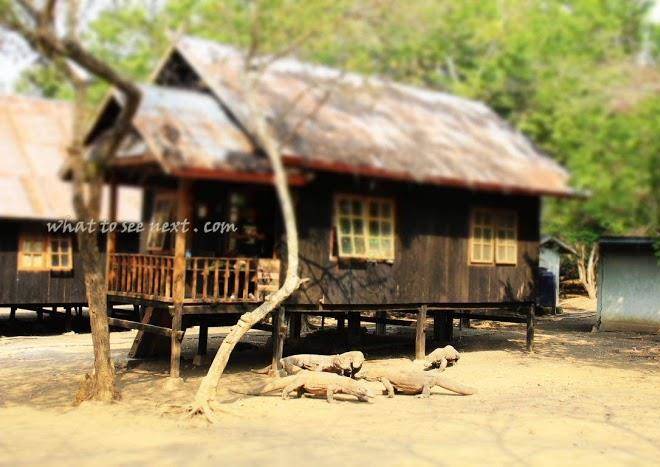 Wisata Labuan Bajo Image