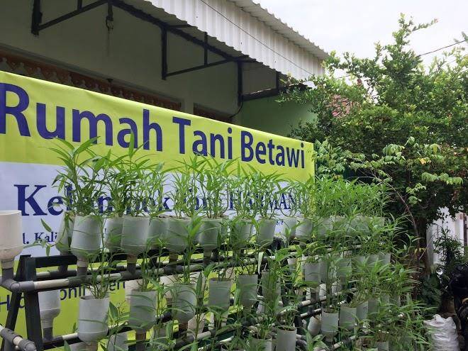 Rumah tani betawi
