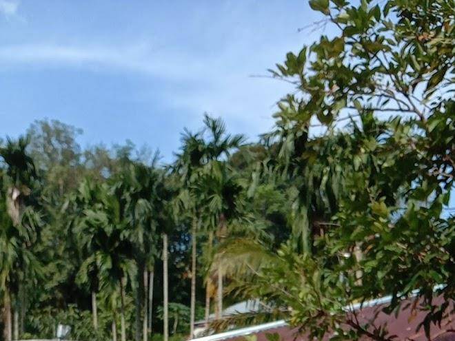 Hotel annisa bangko