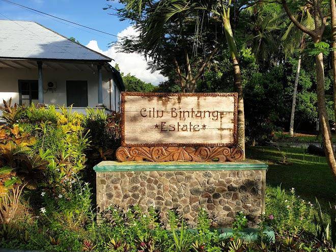 Cilu bintang estate