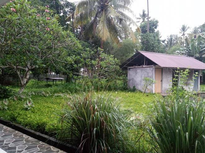 Hotel Kusu Kusu Image