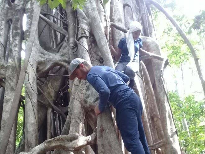 Renny's tangkoko safety stop