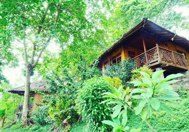 Froggies Divers Bunaken Image