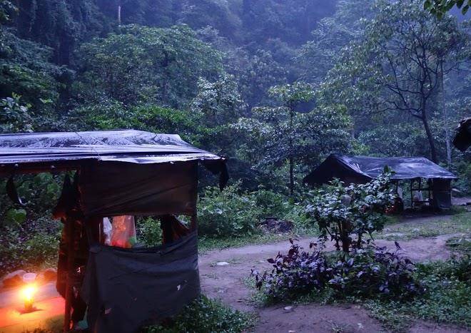 Tranquil jungle hut & trekking