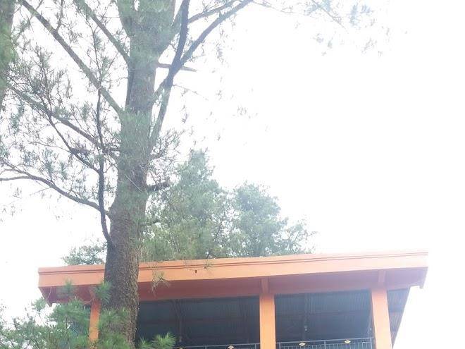 Pondok ningsih 2