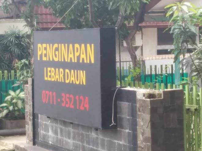 Penginapan lebar daun