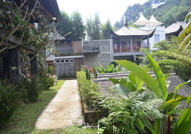 Rumah stroberi