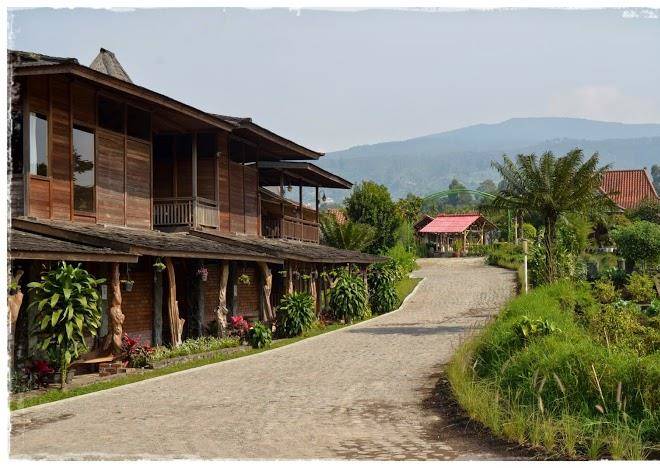 Vila rumah kayu organik