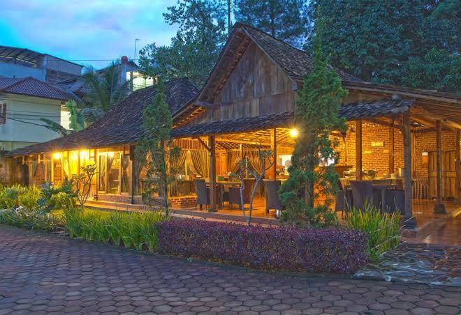 Lotus hotel