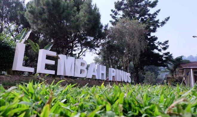 Lembah pinus arra