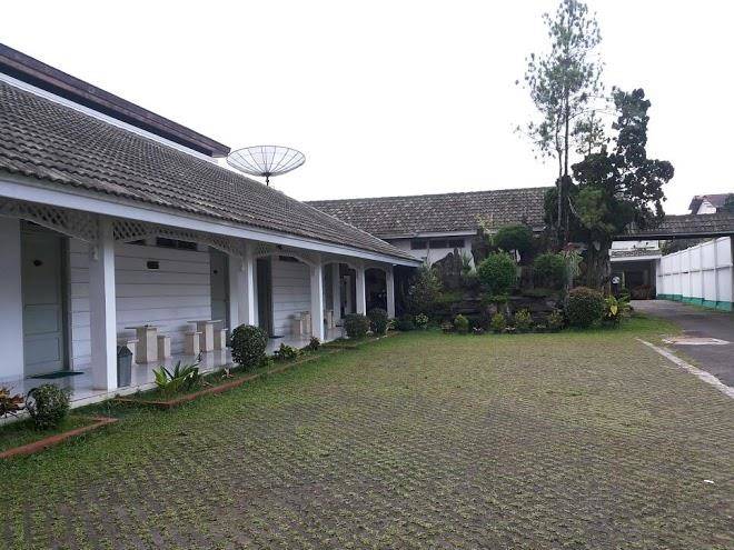 Daun hijau hotel