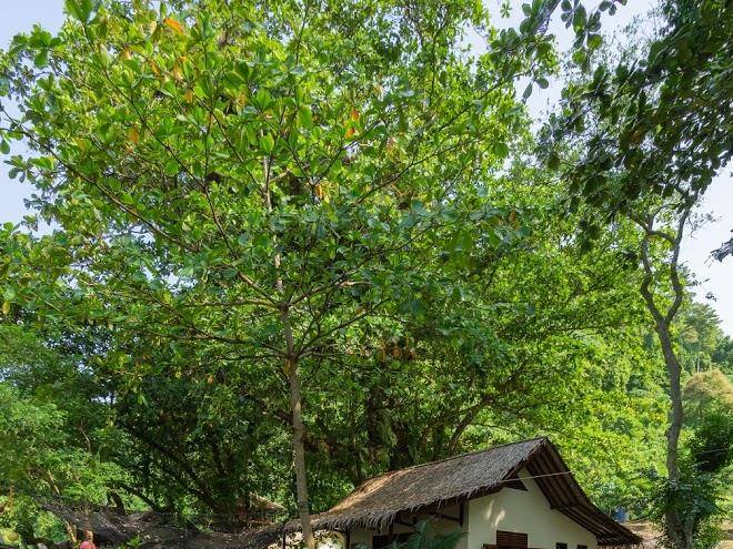 Ketapang Resort Image