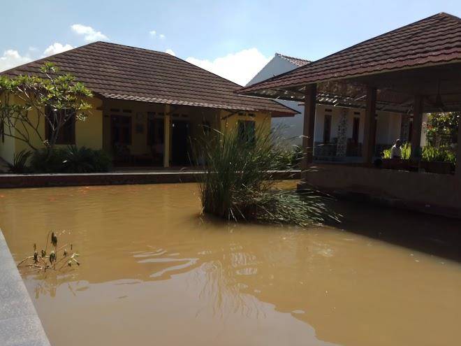 Saung naufal