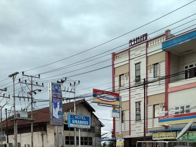 Hotel amadeus
