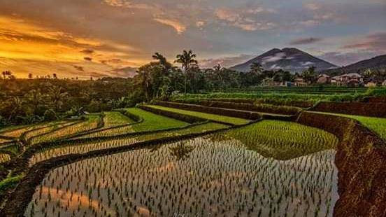 Pondok rinjani perkasa