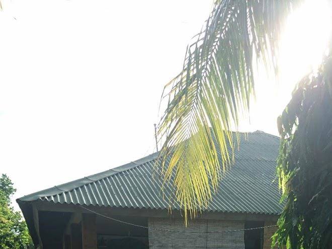 Arnel bungalows