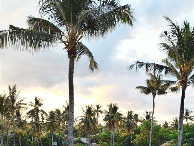 Gili air lagoon resort