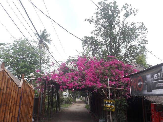 Gili ku bungalow