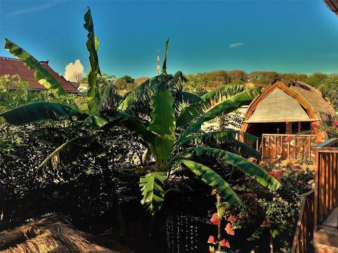 Good vibes bungalows