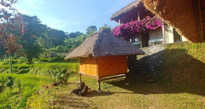 Rinjani mountain garden
