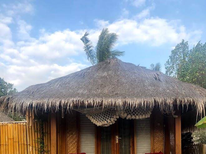 Rumah canaria