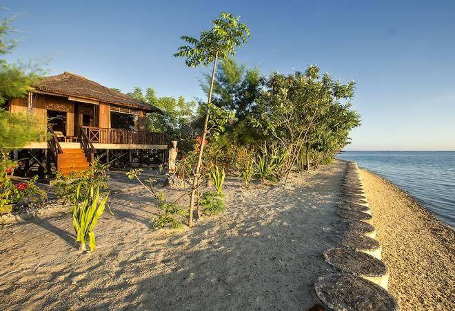 Nirvana gili sudak