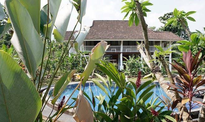 Pondok anggrek putih home stay & cooking classes