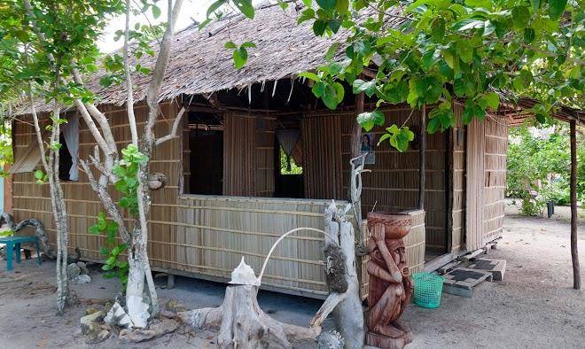 Blue shark homestay