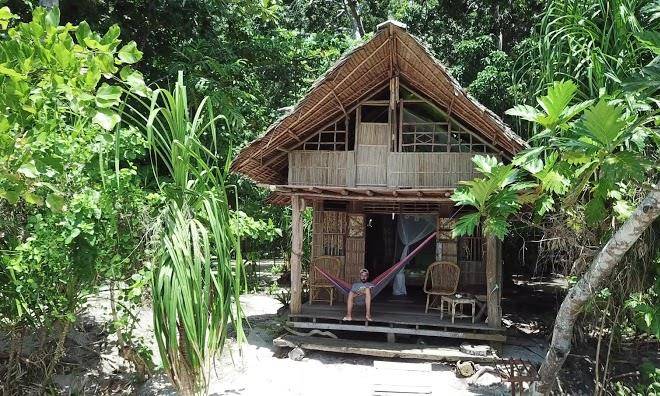 Papuarts alter native stay