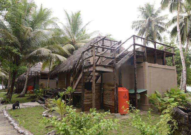 Alaia mentawai