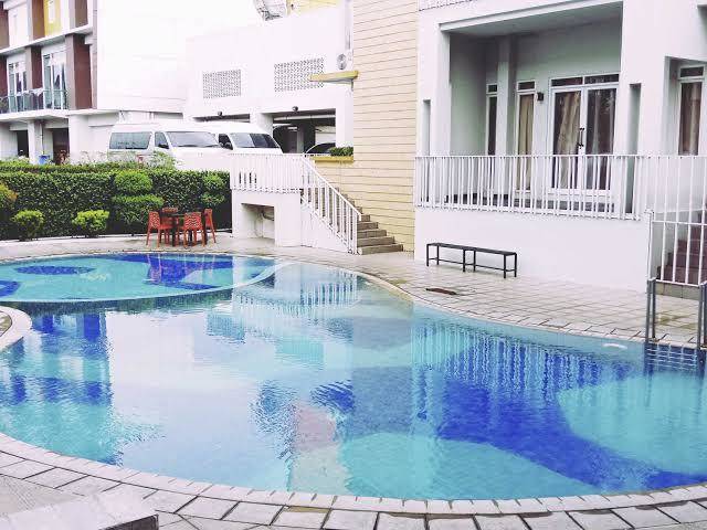 Ibis padang