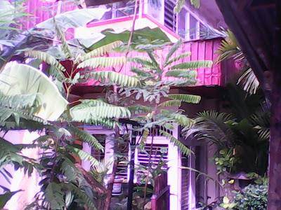 Mother homestay backpacker padang