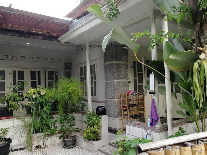The patio yogya