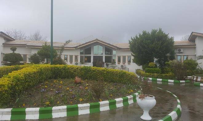 Hod hod hotel