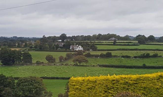 Brendas b&b