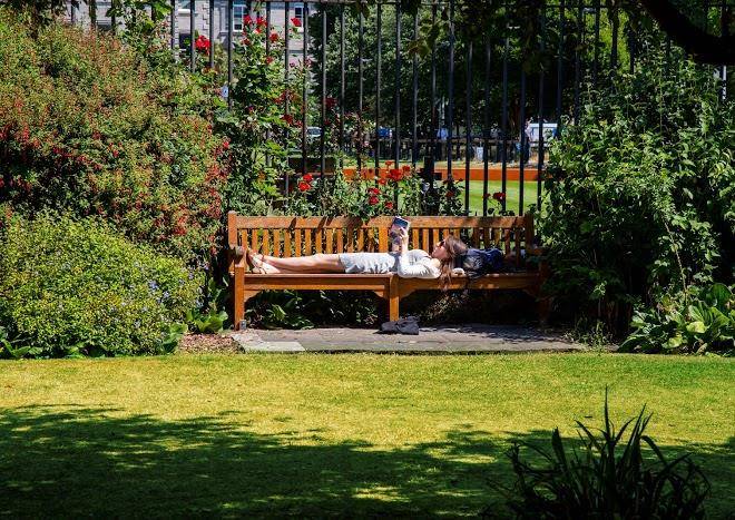 Trinity summer accommodation