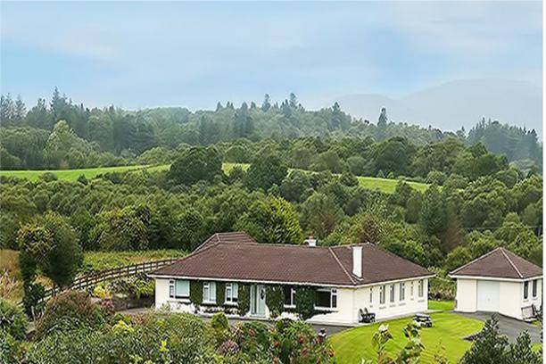 Forest hill b&b